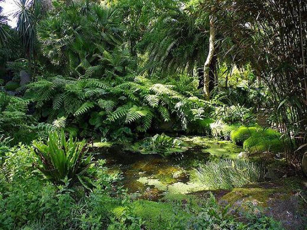 131 Ile de Batz Jardin Georges Delaselle_000005.jpg